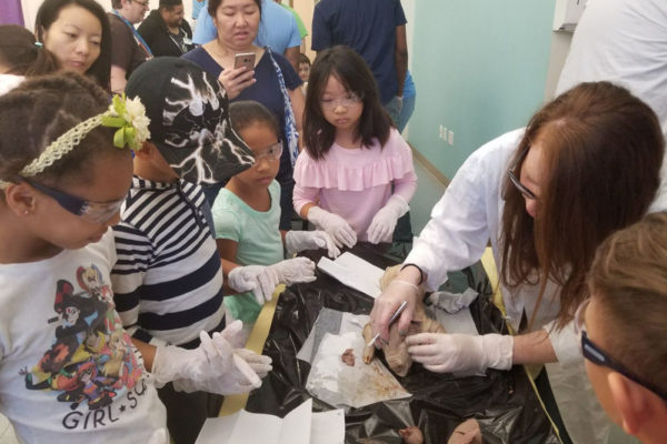 1-13-18-manifezt-foundation-pig-dissection-stem-workshop-at-southwest-regional-library-16