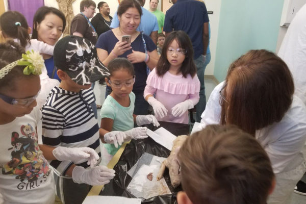1-13-18-manifezt-foundation-pig-dissection-stem-workshop-at-southwest-regional-library-17