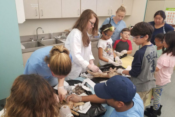 1-13-18-manifezt-foundation-pig-dissection-stem-workshop-at-southwest-regional-library-2