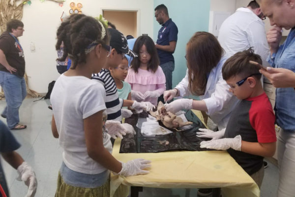 1-13-18-manifezt-foundation-pig-dissection-stem-workshop-at-southwest-regional-library-20