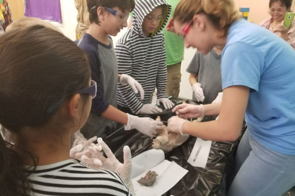 1-13-18-manifezt-foundation-pig-dissection-stem-workshop-at-southwest-regional-library-23