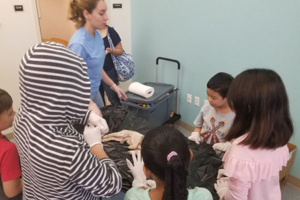 1-13-18-manifezt-foundation-pig-dissection-stem-workshop-at-southwest-regional-library-32