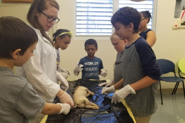 1-13-18-manifezt-foundation-pig-dissection-stem-workshop-at-southwest-regional-library-33