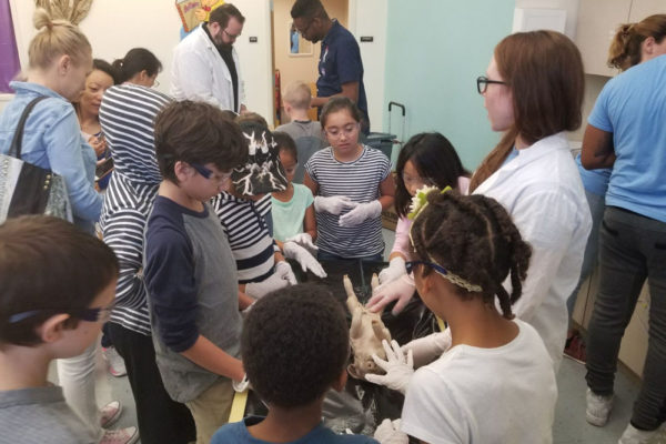 1-13-18-manifezt-foundation-pig-dissection-stem-workshop-at-southwest-regional-library-35