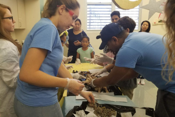 1-13-18-manifezt-foundation-pig-dissection-stem-workshop-at-southwest-regional-library-4