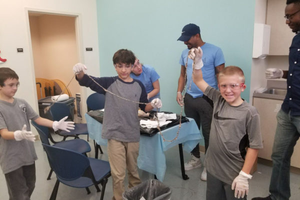 1-13-18-manifezt-foundation-pig-dissection-stem-workshop-at-southwest-regional-library-9