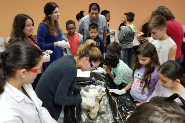 1-27-18-science-in-the-city-dissections-workshop-at-miami-lakes-library-10