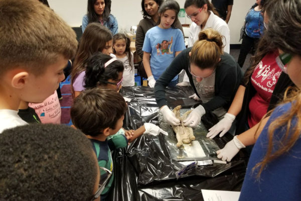1-27-18-science-in-the-city-dissections-workshop-at-miami-lakes-library-12