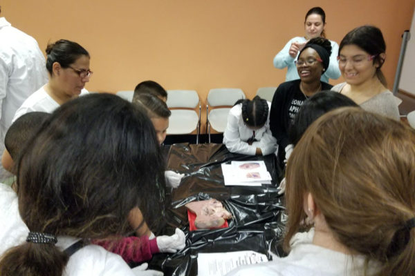 1-27-18-science-in-the-city-dissections-workshop-at-miami-lakes-library-14