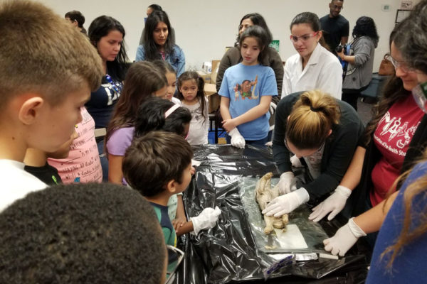 1-27-18-science-in-the-city-dissections-workshop-at-miami-lakes-library-16