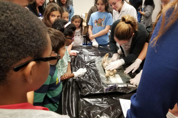 1-27-18-science-in-the-city-dissections-workshop-at-miami-lakes-library-17