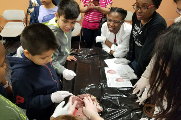 1-27-18-science-in-the-city-dissections-workshop-at-miami-lakes-library-18