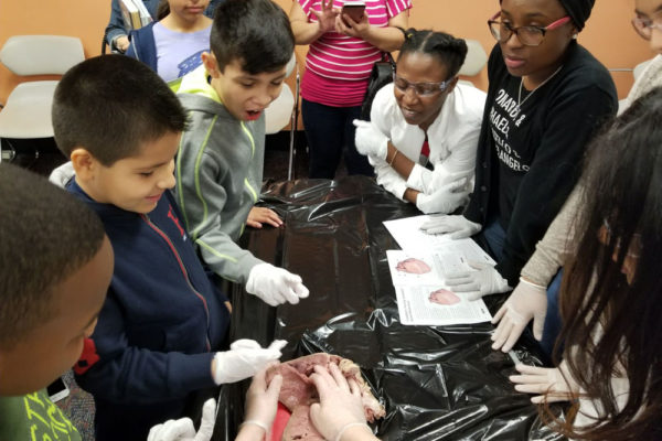 1-27-18-science-in-the-city-dissections-workshop-at-miami-lakes-library-19
