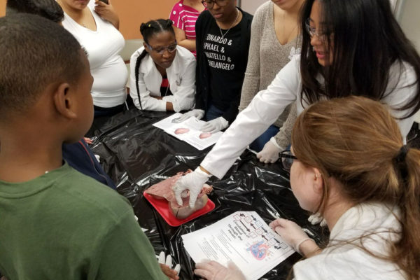 1-27-18-science-in-the-city-dissections-workshop-at-miami-lakes-library-22