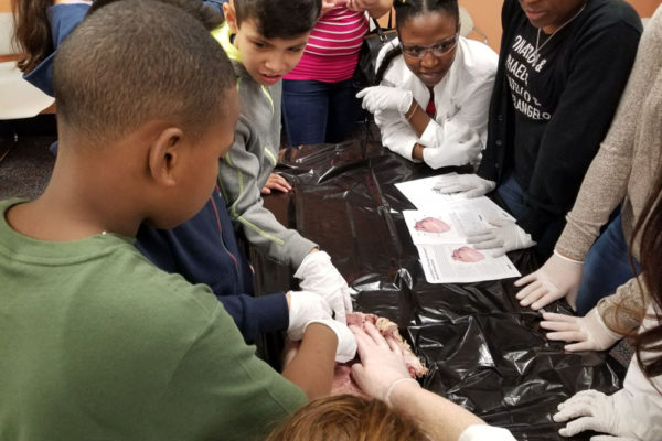 1-27-18-science-in-the-city-dissections-workshop-at-miami-lakes-library-23