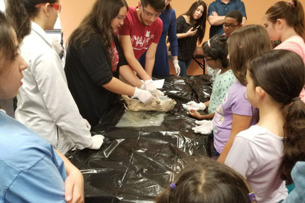 1-27-18-science-in-the-city-dissections-workshop-at-miami-lakes-library-25