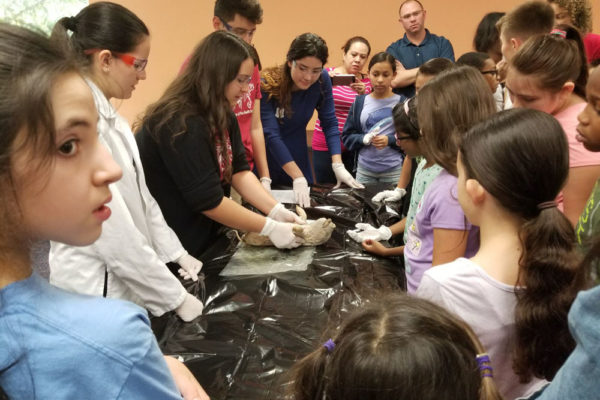 1-27-18-science-in-the-city-dissections-workshop-at-miami-lakes-library-26