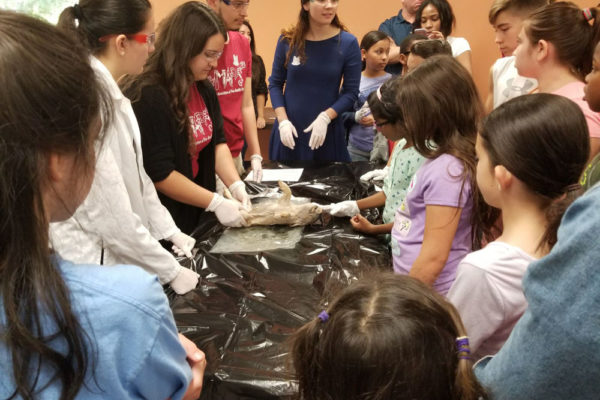 1-27-18-science-in-the-city-dissections-workshop-at-miami-lakes-library-27
