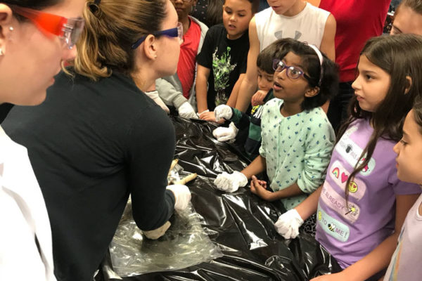 1-27-18-science-in-the-city-dissections-workshop-at-miami-lakes-library-3