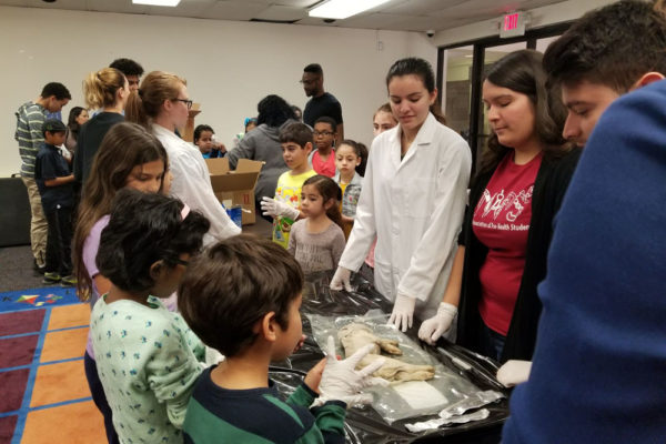 1-27-18-science-in-the-city-dissections-workshop-at-miami-lakes-library-33