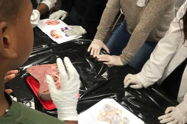 1-27-18-science-in-the-city-dissections-workshop-at-miami-lakes-library-7