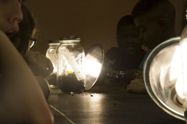 Greenhouse Effect In A Bottle: Science in the City - Space Cadets Initiative Presentation by the Manifezt Foundation