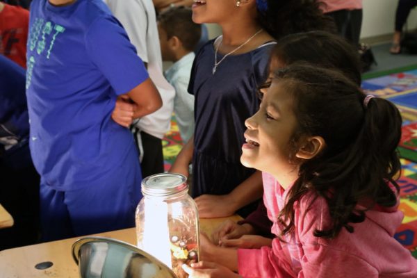 2-10-18 Greenhouse Effect at Southwest Regional Library 18