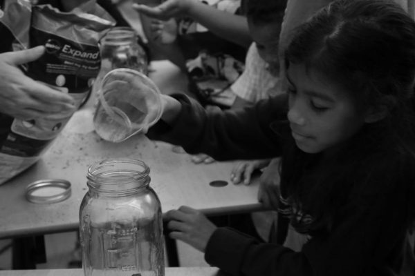 2-10-18 Greenhouse Effect at Southwest Regional Library 6