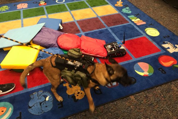 44 Exploring Mars Terrain Using Robotic Rovers and Drones at Miami Lakes Library