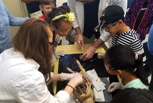 Pig Dissection STEM Workshop at Southwest Regional Library