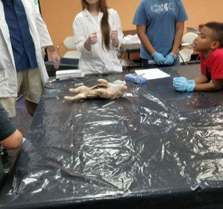 - 9 23 17 Miami Lakes Library STEM Workshop 77 - Miami Lakes Library STEM Workshop | Manifezt Foundation