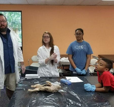 - 9 23 17 Miami Lakes Library STEM Workshop 84 - Miami Lakes Library STEM Workshop | Manifezt Foundation