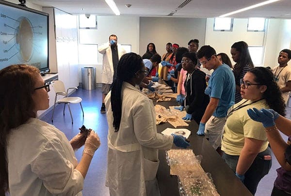 Eye Ball Dissection at Frost Museum