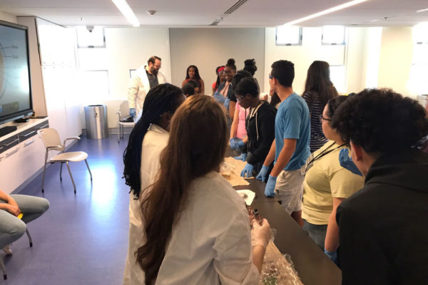 Eye Ball Dissection at Frost Museum - 11/18/17