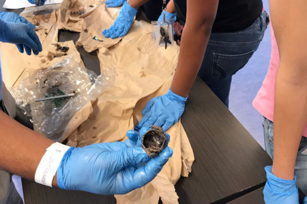 Eye Ball Dissection at Frost Museum - 11/18/17