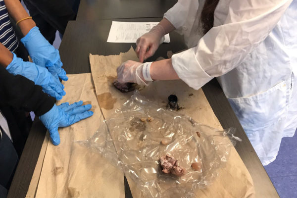 Eye Ball Dissection at Frost Museum - 11/18/17