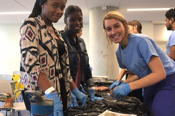 Heart Dissection Workshop at Frost Museum 1