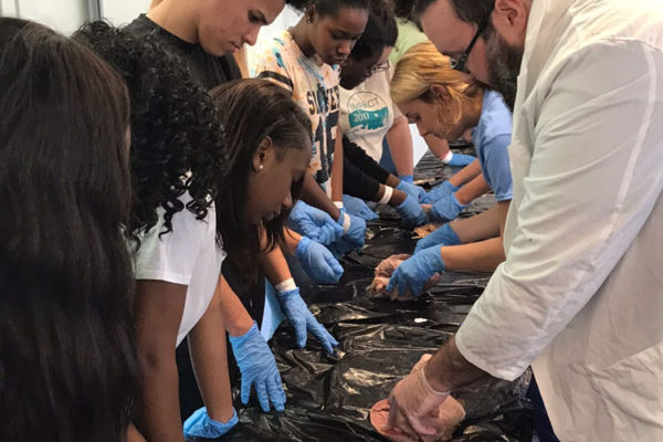 Heart Dissection Workshop at Frost Museum 12