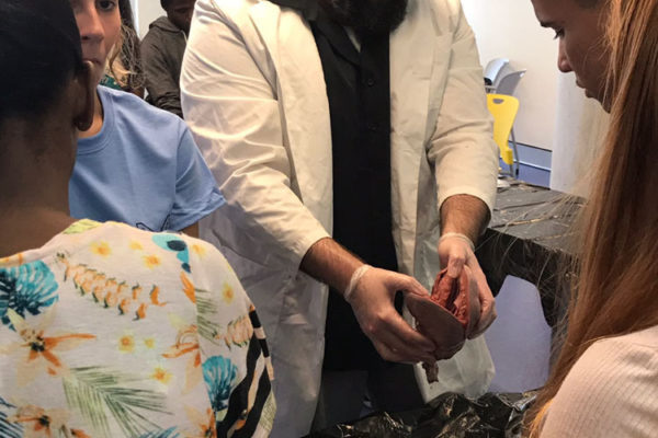 Heart Dissection Workshop at Frost Museum 17