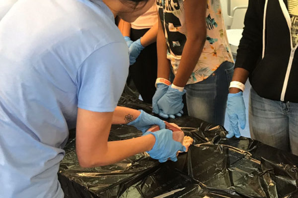 Heart Dissection Workshop at Frost Museum 20