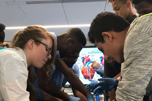 Heart Dissection Workshop at Frost Museum 21