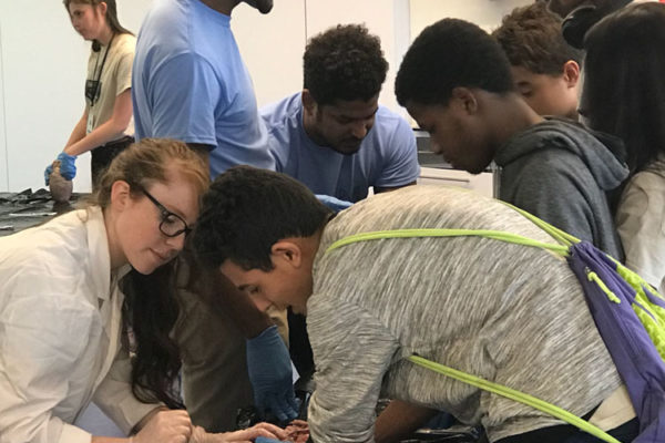 Heart Dissection Workshop at Frost Museum 22