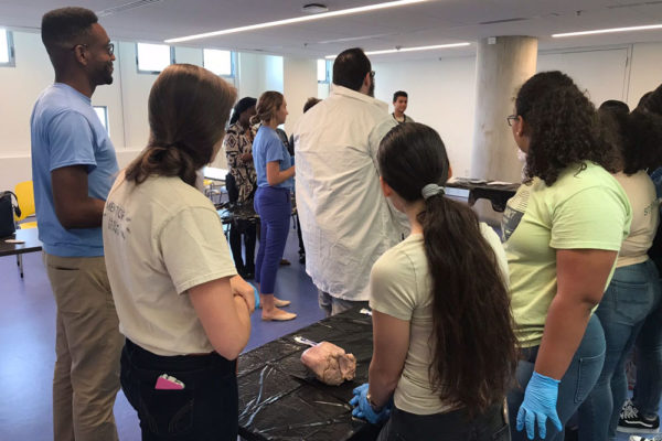 Heart Dissection Workshop at Frost Museum 25