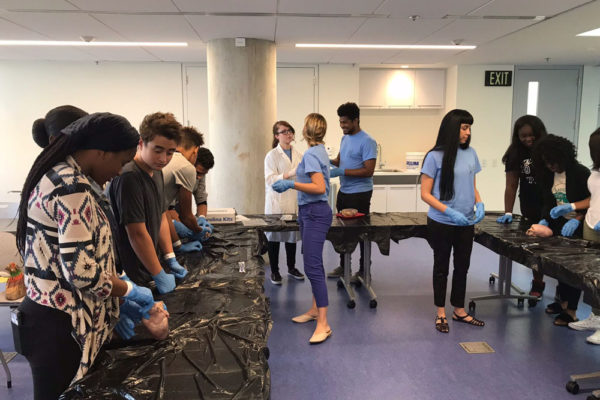 Heart Dissection Workshop at Frost Museum 26