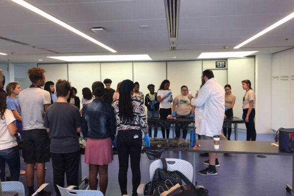 Heart Dissection Workshop at Frost Museum 29