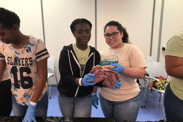 Heart Dissection Workshop at Frost Museum 3
