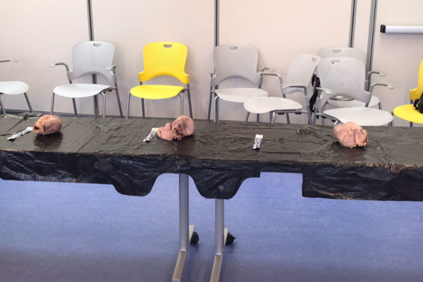 Heart Dissection Workshop at Frost Museum 31