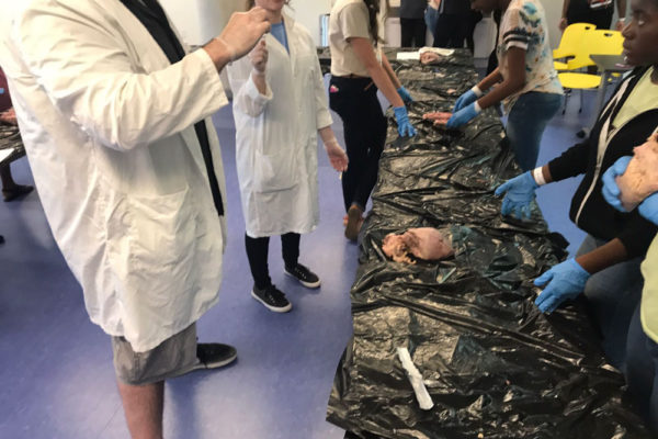 Heart Dissection Workshop at Frost Museum 38