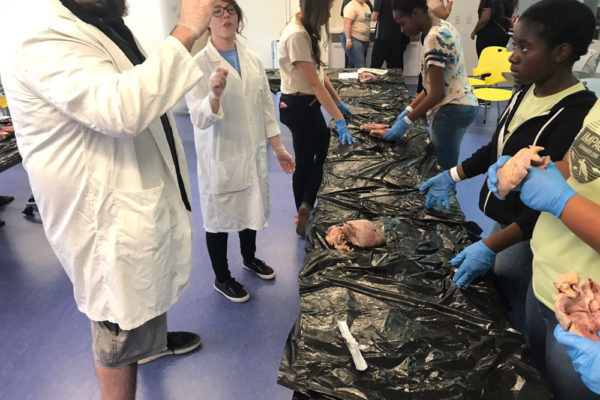 Heart Dissection Workshop at Frost Museum 39