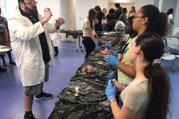 Heart Dissection Workshop at Frost Museum 46